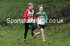 Boys under-13s, NECAA Junior Cross Country Relays, Thornley Farm, Peterlee, Saturday, December 12th. Photo: David T. Hewitson/Sports for All Pics
